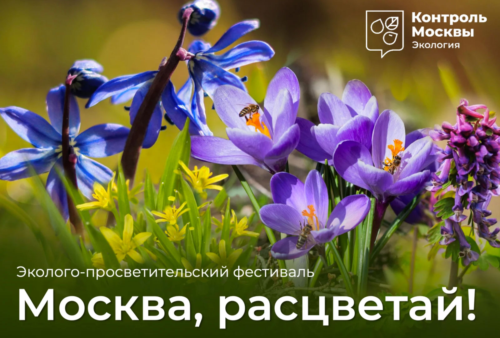 Пушкинская карта